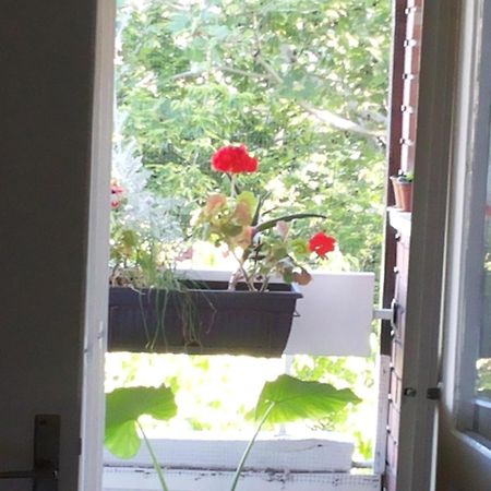 B&B Girasole Novi Sad Cameră foto
